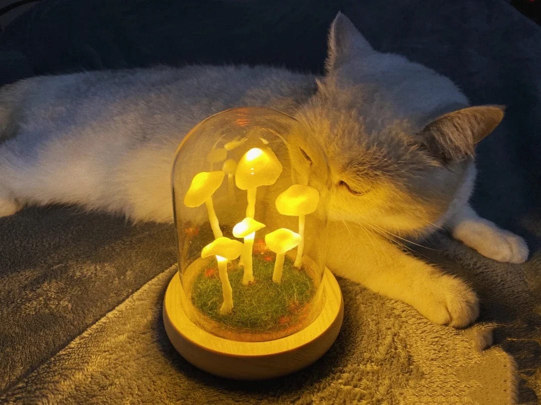 Lampada a fungo fai da te in vetro con luce LED e base in legno