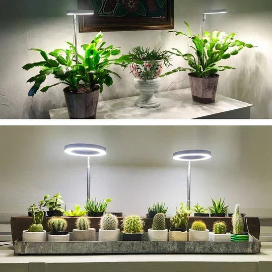 GrowGlow verstellbare LED-Pflanzenlampe mit Vollspektrum-Wachstumslicht