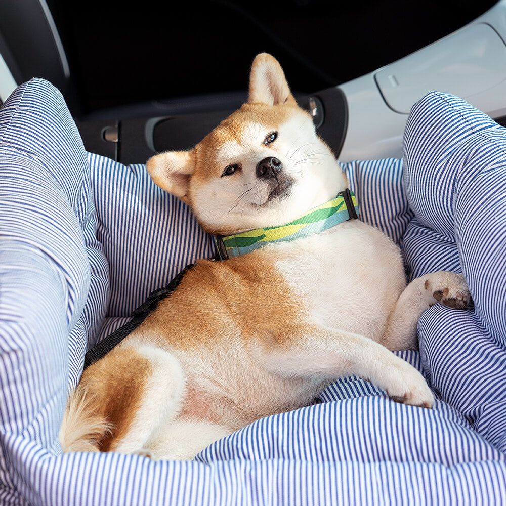 ComfyRide-Hundeautositz, weiches Reisebett und Transporttasche für Haustiere