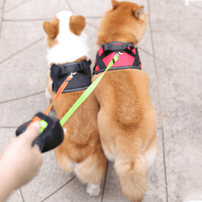 Guinzaglio doppio DoubleDog Flexline per due cani con sistema anti-groviglio e luce