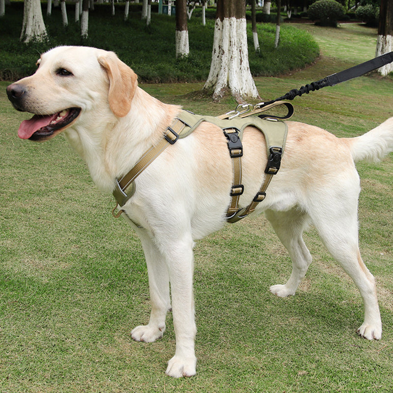 GripGuard Reflektierendes Hundegeschirr mit Anti-Zug-Funktion und verstellbarem, sicherem Sitz
