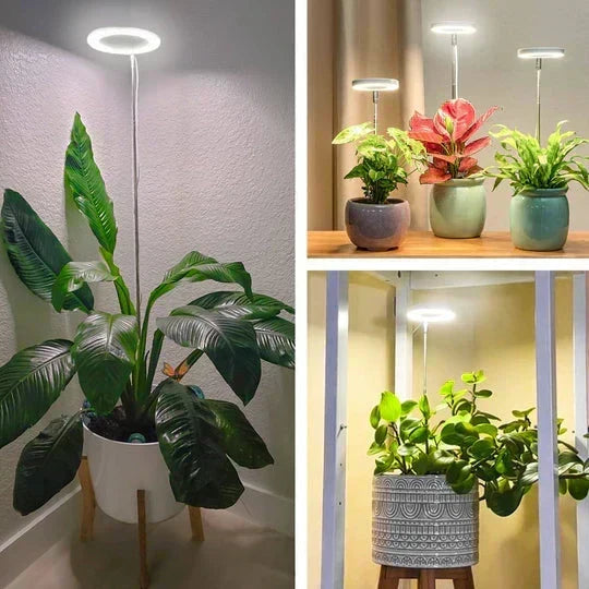 GrowGlow verstellbare LED-Pflanzenlampe mit Vollspektrum-Wachstumslicht