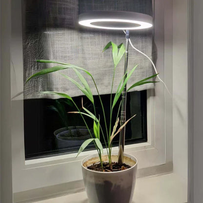 GrowGlow verstellbare LED-Pflanzenlampe mit Vollspektrum-Wachstumslicht