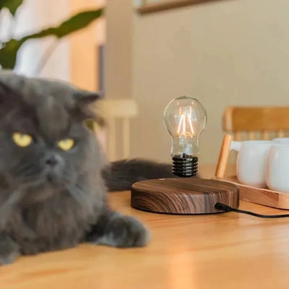 Levion zwevende Tesla-lamp met magnetisch LED-sfeerverlichting