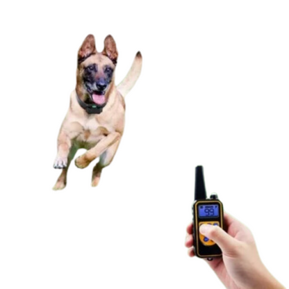 Wiederaufladbares Antibell-Hundehalsband mit Fernbedienung und wasserdichtem Design