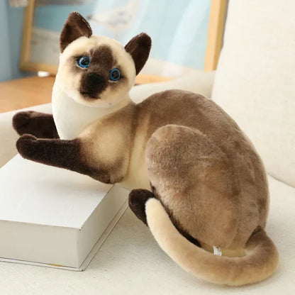 Siamkatzen-Kuscheltier: realistischer, weicher Plüsch-Katzenfreund für Kinder und Erwachsene