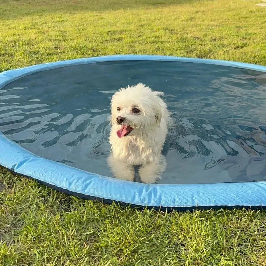 SplashyPaws watersproeimat en peuterbad voor honden
