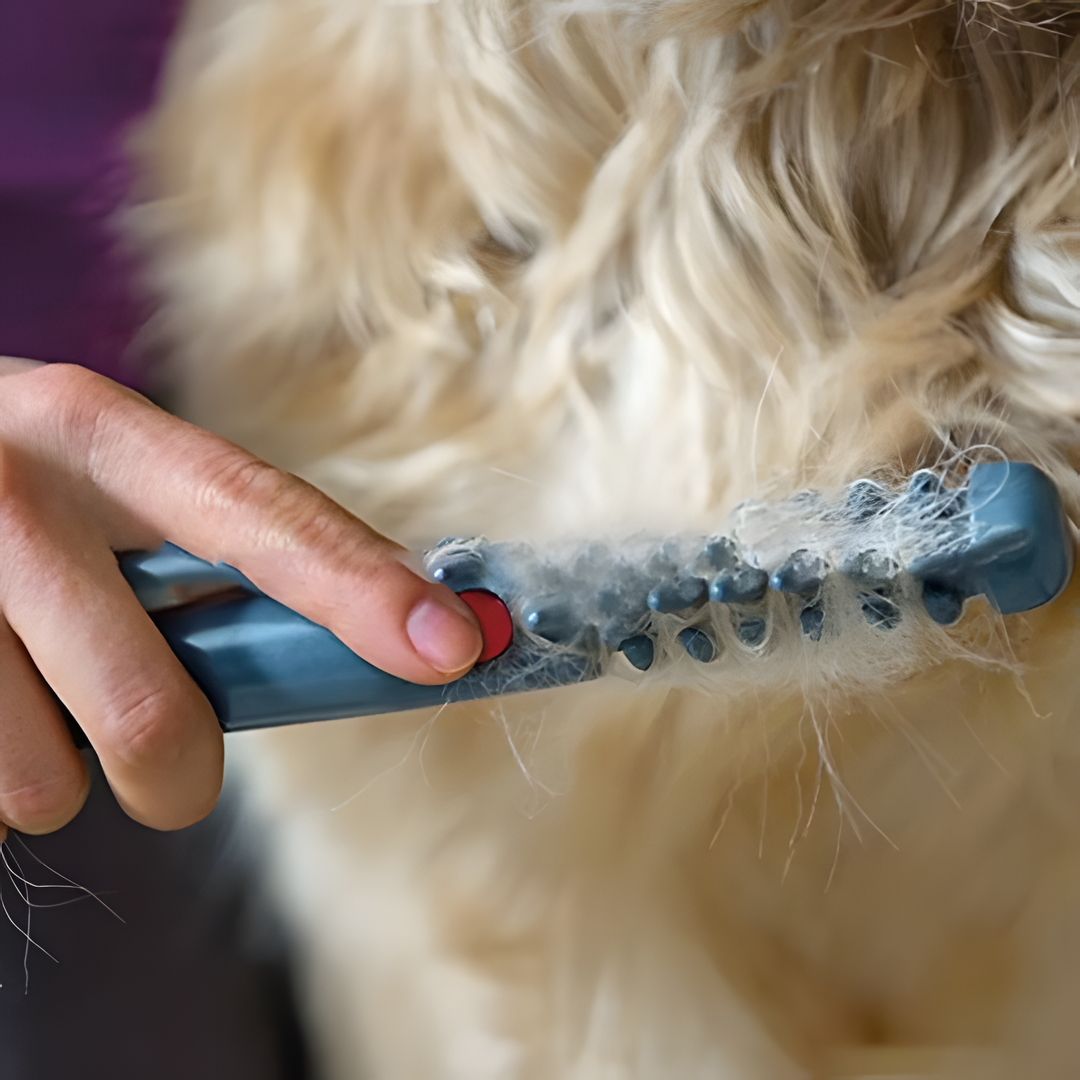 Spazzola districante per cani e gatti, delicata e anti-nodi